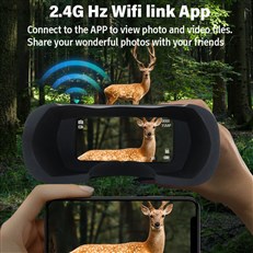 Connect to Phone