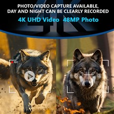 Video/Photo
