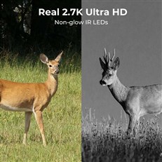 Ultra HD