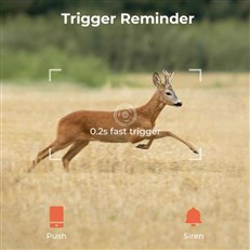 0.2 Second trigger 