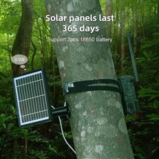 Solar Power