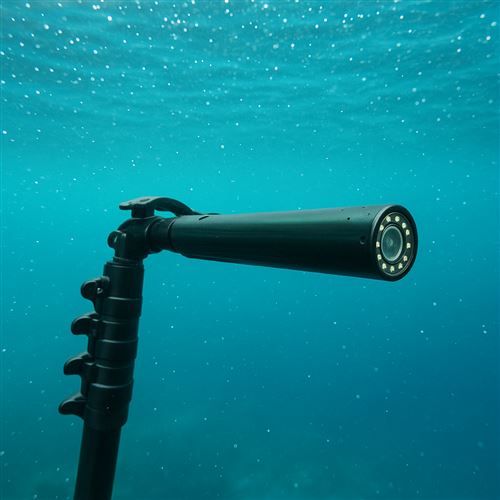 Telescopic Pole Camera with 5MP Forward-Facing Head & 10" Monitor
