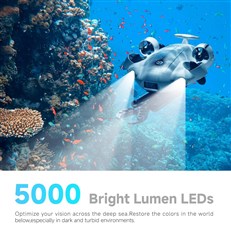 Underwater - With Robotic Arm