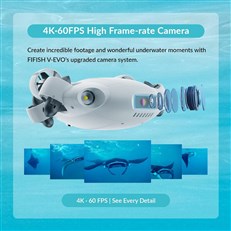 Camera Footage